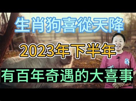 2023屬狗買房|2023年 12生肖購屋運勢